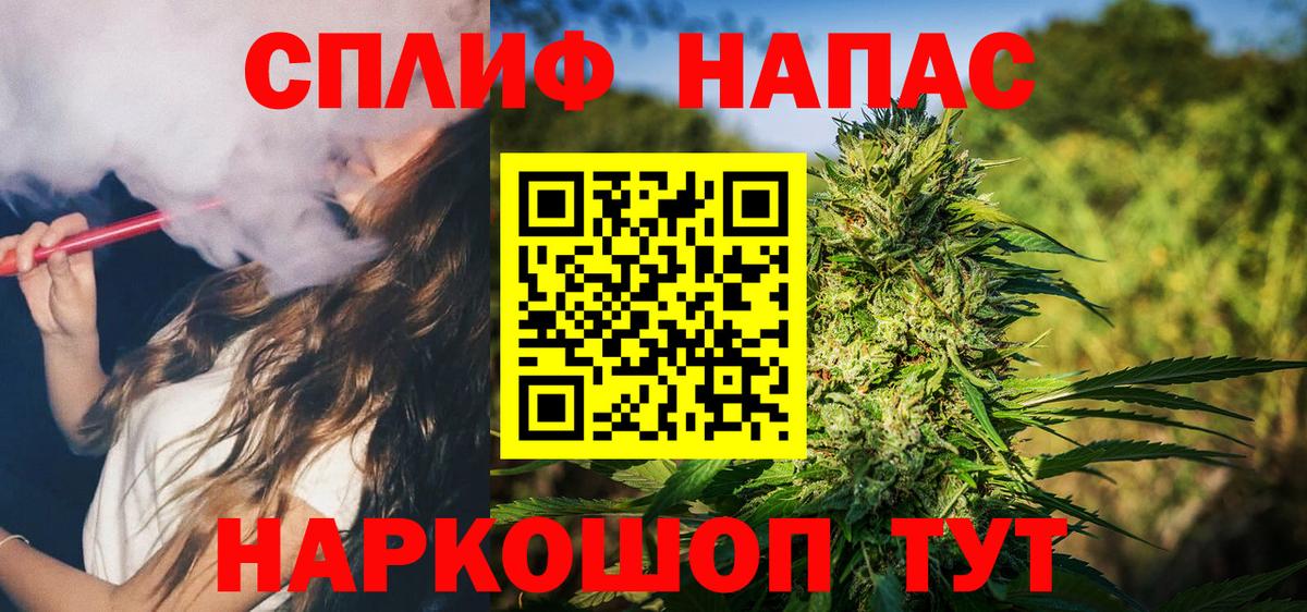 Марихуана Amnesia  Канабис гибрид  Вход с VPN  Бошки марихуана тримм  Кизляр 